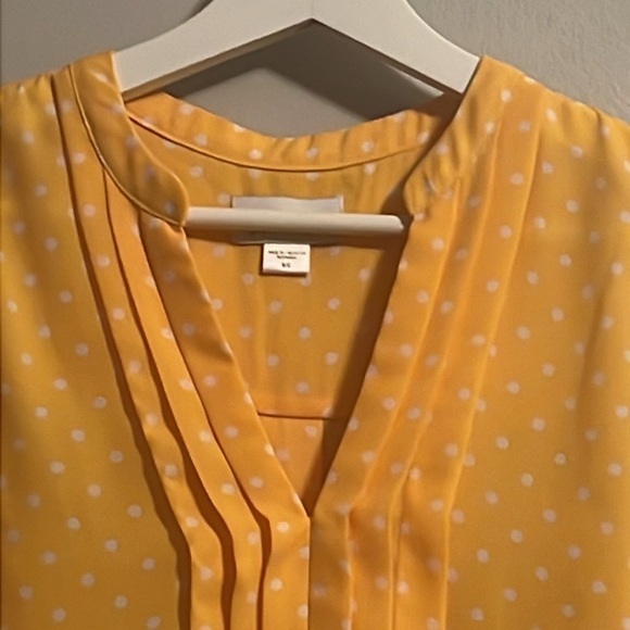 Jaclyn Smith Collection
Sleeveless Pleated Blouse
Top Yellow Polka Dot Sz S - Picture 6 of 7